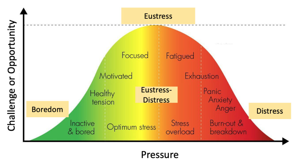 Yerkes-Dodson Law: optimal arousal zone between eustress and distress: applied to airline disruption UX design